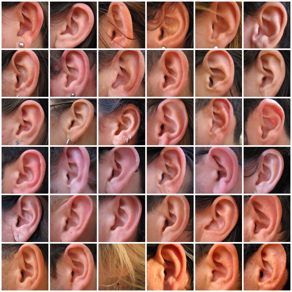 collage-of-ears.jpg
